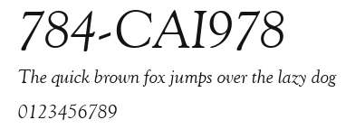 784-CAI978 Preview