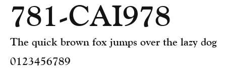 781-CAI978 Preview