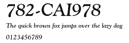 782-CAI978 Preview