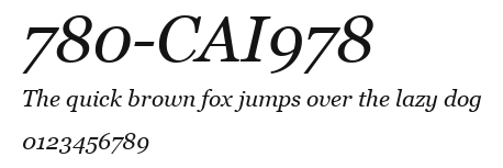 780-CAI978 Preview