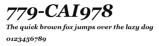 779-CAI978 Preview