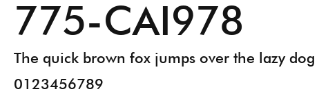 775-CAI978 Preview