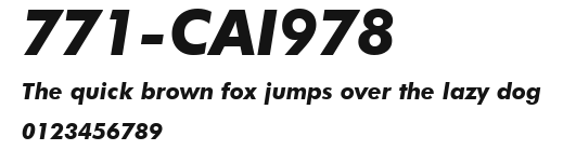 771-CAI978 Preview