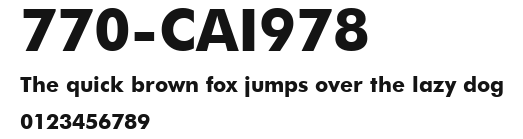 770-CAI978 Preview