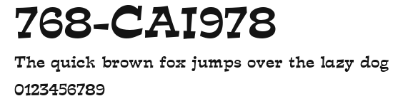 768-CAI978 Preview