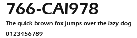 766-CAI978 Preview