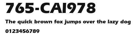 765-CAI978 Preview