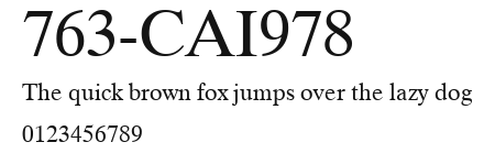 763-CAI978 Preview