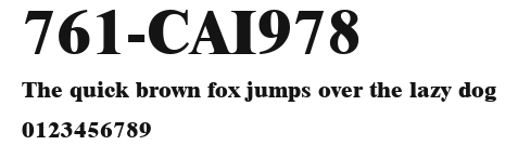 761-CAI978 Preview