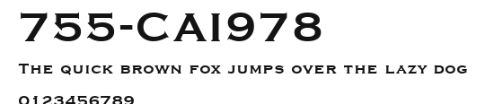 755-CAI978 Preview