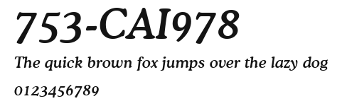 753-CAI978 Preview