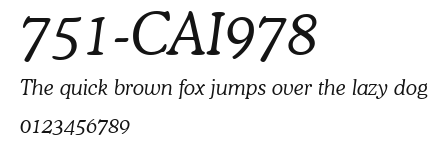 751-CAI978 Preview