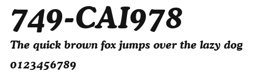 749-CAI978 Preview
