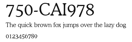 750-CAI978 Preview