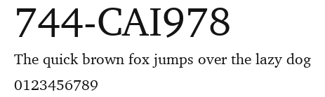 744-CAI978 Preview