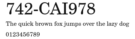 742-CAI978 Preview