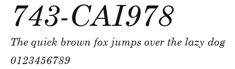 743-CAI978 Preview