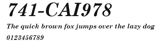 741-CAI978 Preview