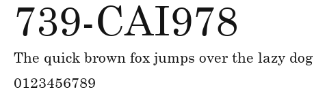 739-CAI978 Preview