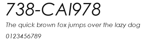 738-CAI978 Preview