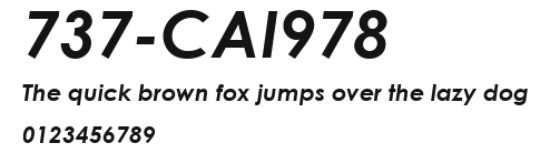 737-CAI978 Preview