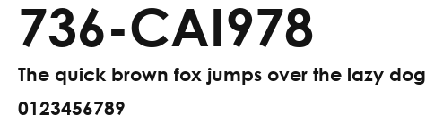 736-CAI978 Preview