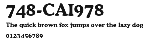 748-CAI978 Preview