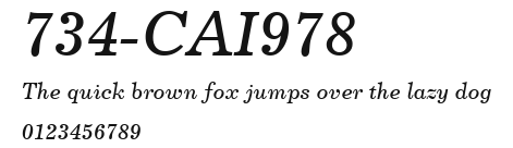 734-CAI978 Preview