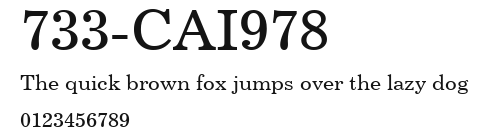 733-CAI978 Preview
