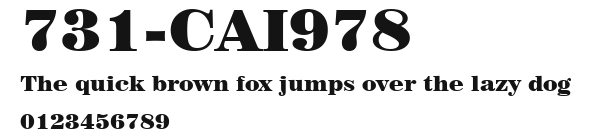 731-CAI978 Preview