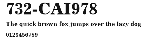 732-CAI978 Preview