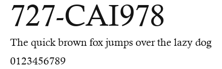 727-CAI978 Preview