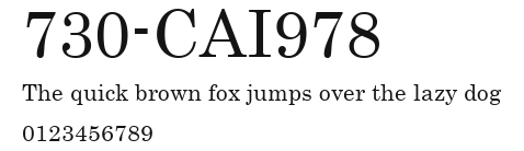 730-CAI978 Preview