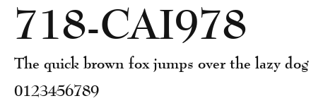 718-CAI978 Preview