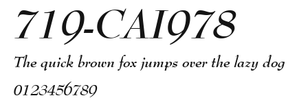 719-CAI978 Preview
