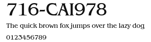 716-CAI978 Preview