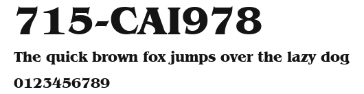 715-CAI978 Preview