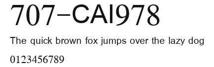 707-CAI978 Preview