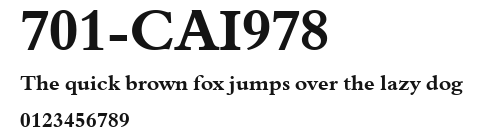 701-CAI978 Preview