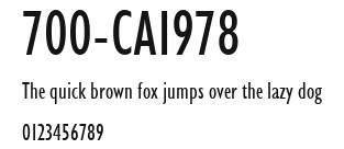 700-CAI978 Preview
