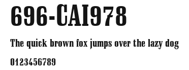 696-CAI978 Preview