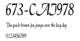673-CAI978 Preview