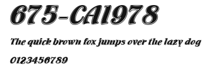 675-CAI978 Preview