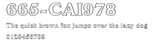 665-CAI978 Preview