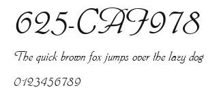 625-CAI978 Preview