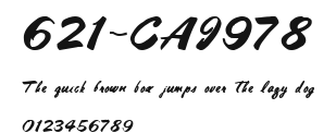 621-CAI978 Preview