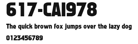 617-CAI978 Preview
