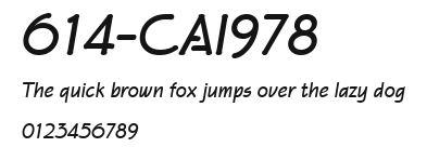 614-CAI978 Preview