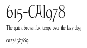 615-CAI978 Preview