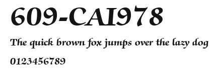 609-CAI978 Preview